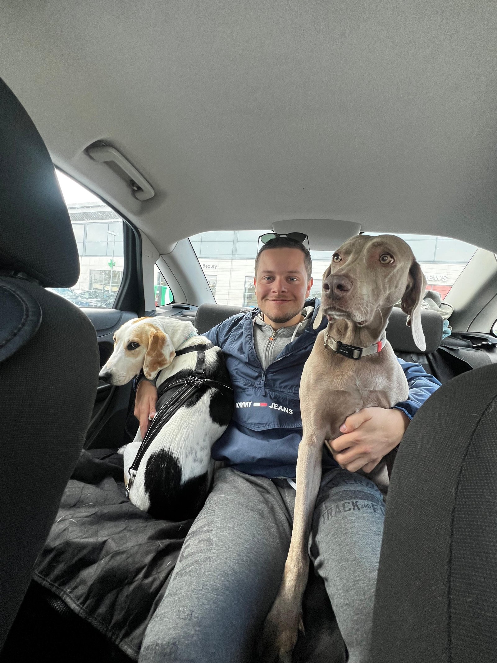 Arto – pet sitter Dublin