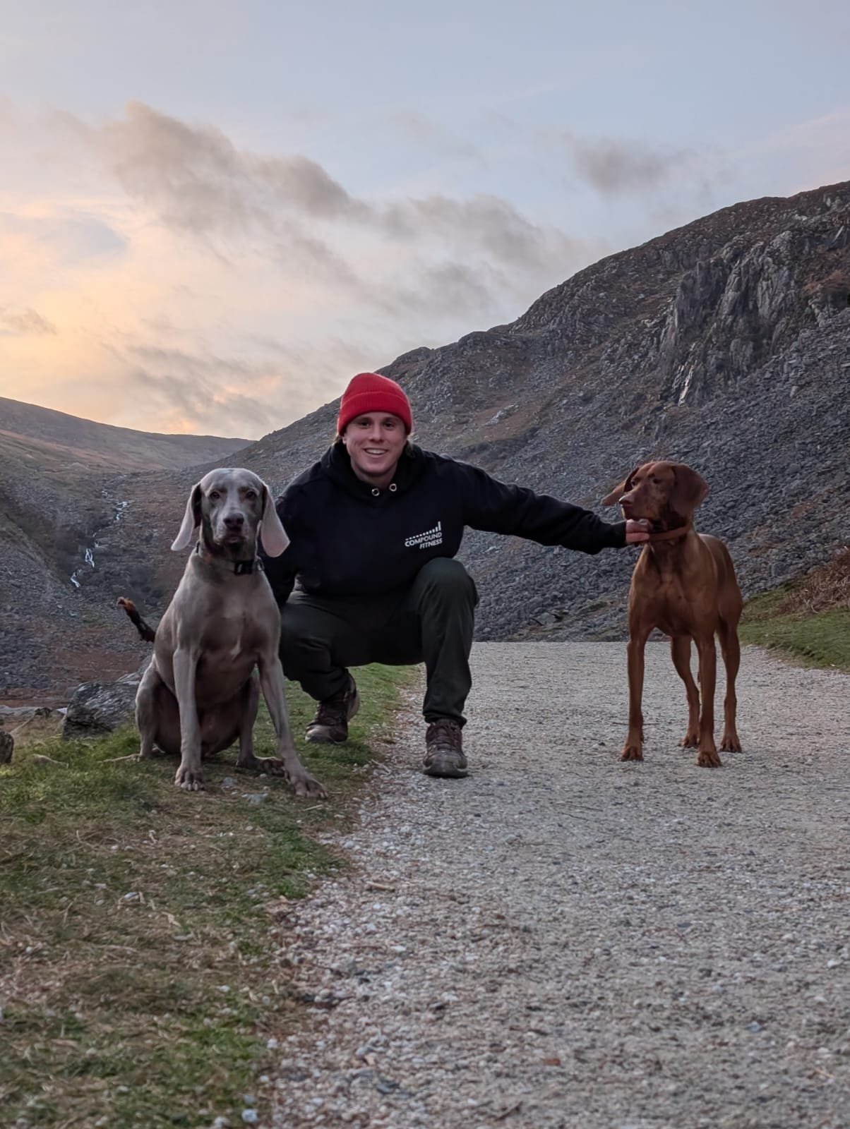Levi – pet sitter Dublin